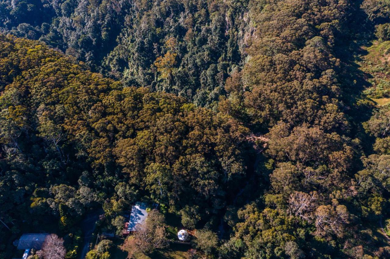 Purling Brook Falls Gwongorella Hotel Springbrook Exterior foto