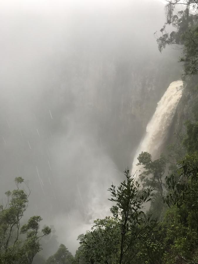 Purling Brook Falls Gwongorella Hotel Springbrook Exterior foto